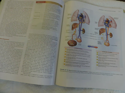 ANATOMY PHYSIOLOGY  THE UNITY OF FORM AND FUNCTION, SALADIN
