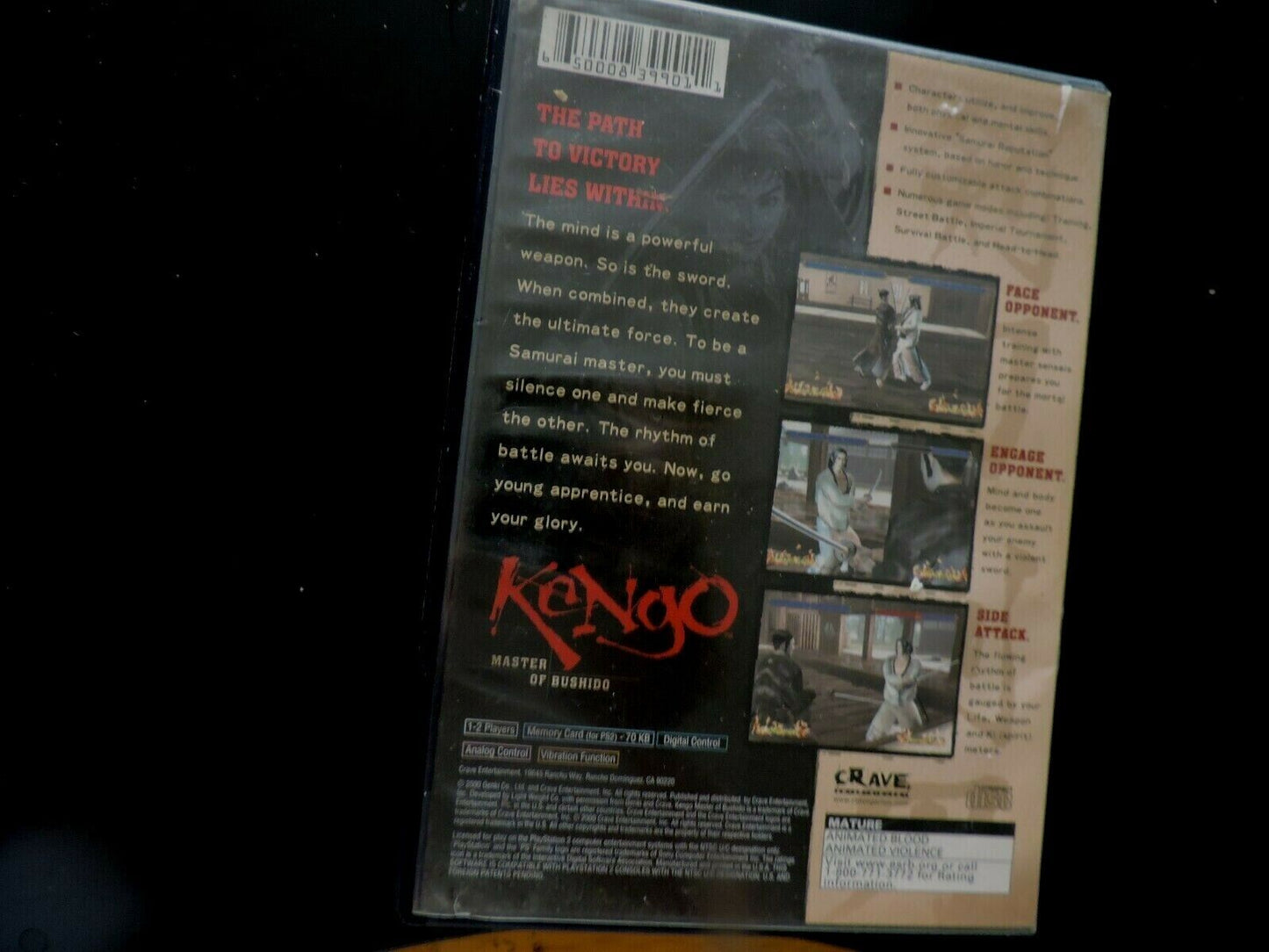 Kengo: Master of Bushido (Sony PlayStation 2, 2001)