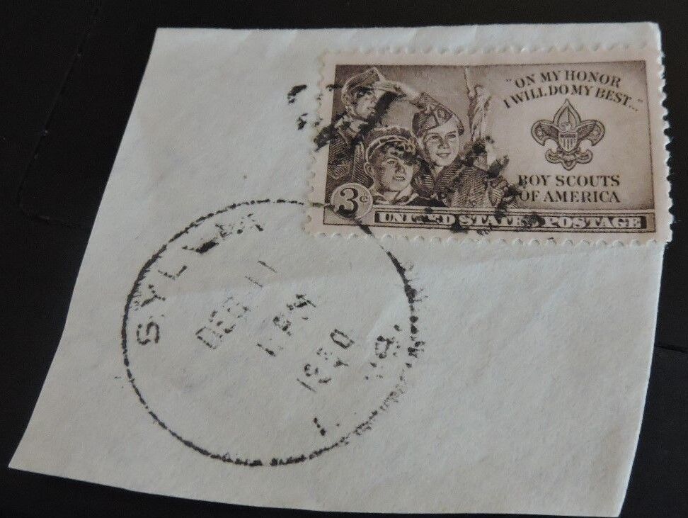 BSA Postage Stamp PostedDated