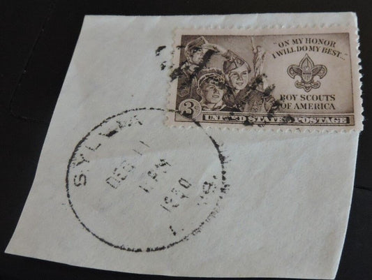 BSA Postage Stamp PostedDated