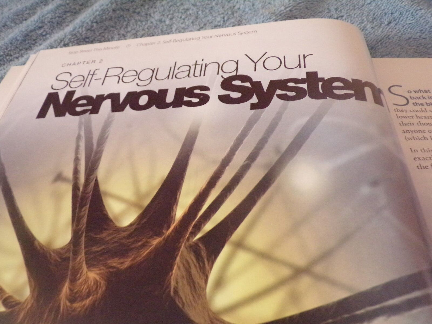 Stop Stress This Minute by the Wellness Council of America