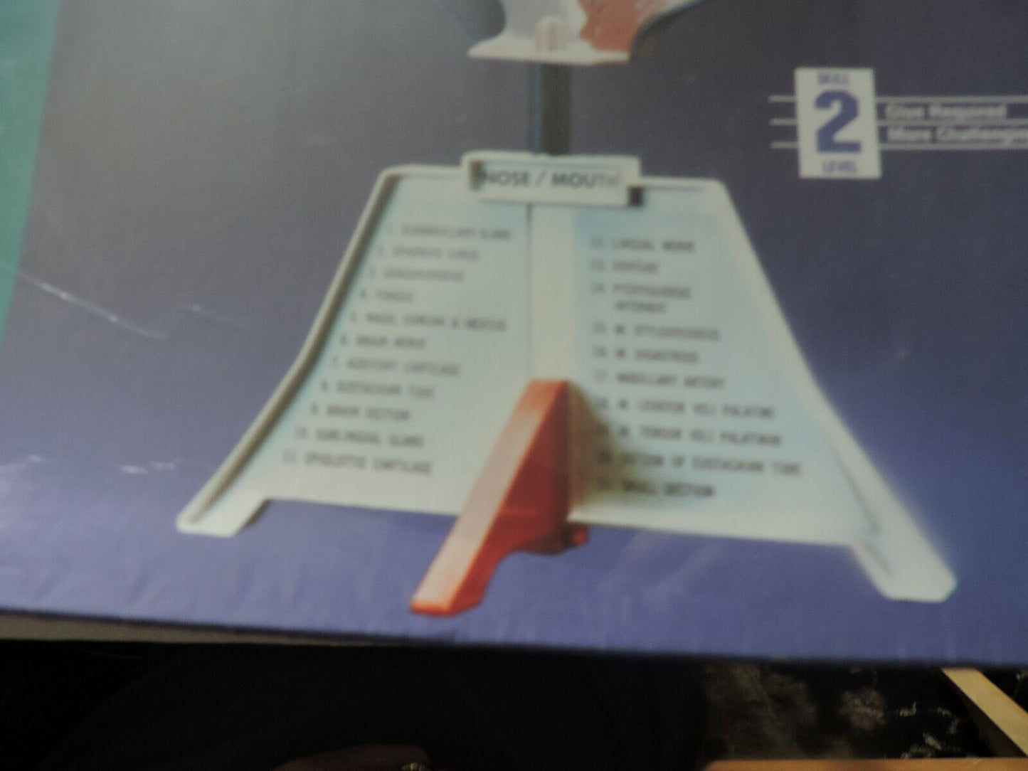 SKILCRAFT: NOSE/MOUTH ANATOMICALLY ACCURATE UNASSEMBLED  MODEL KIT-- NIB-- SKILL