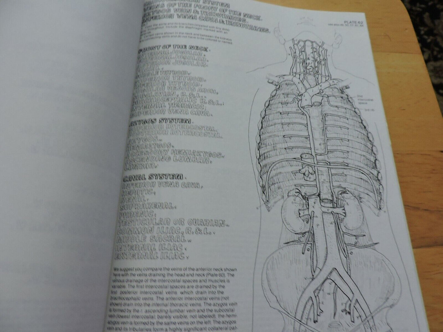 THE ANATOMY COLORING BOOK BY WYNN KAPIT/LAWRENCE M. ELSON 1977