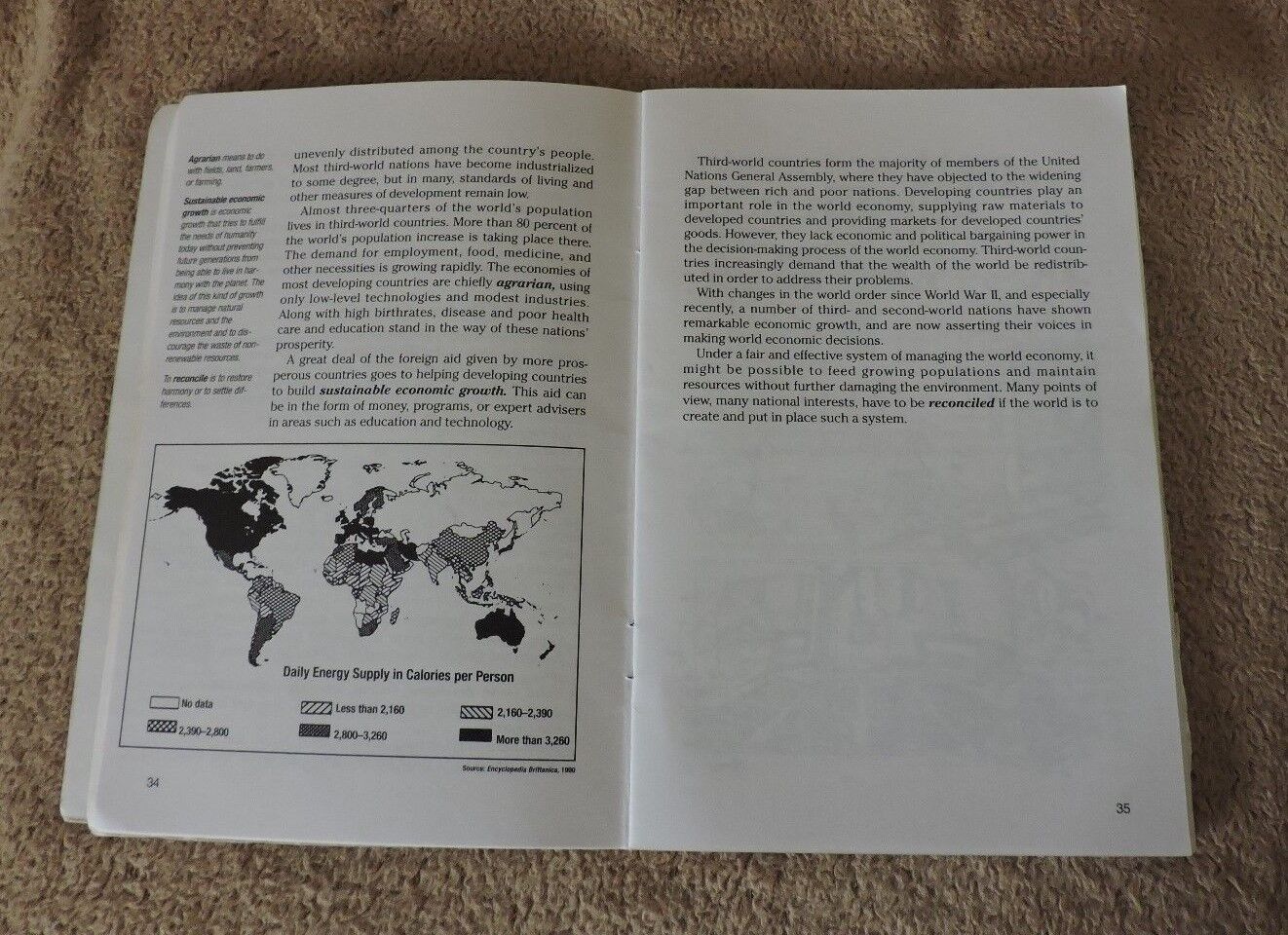 Merit Badge Series "Citizenship in the World" Pamphlet 1995 Revision