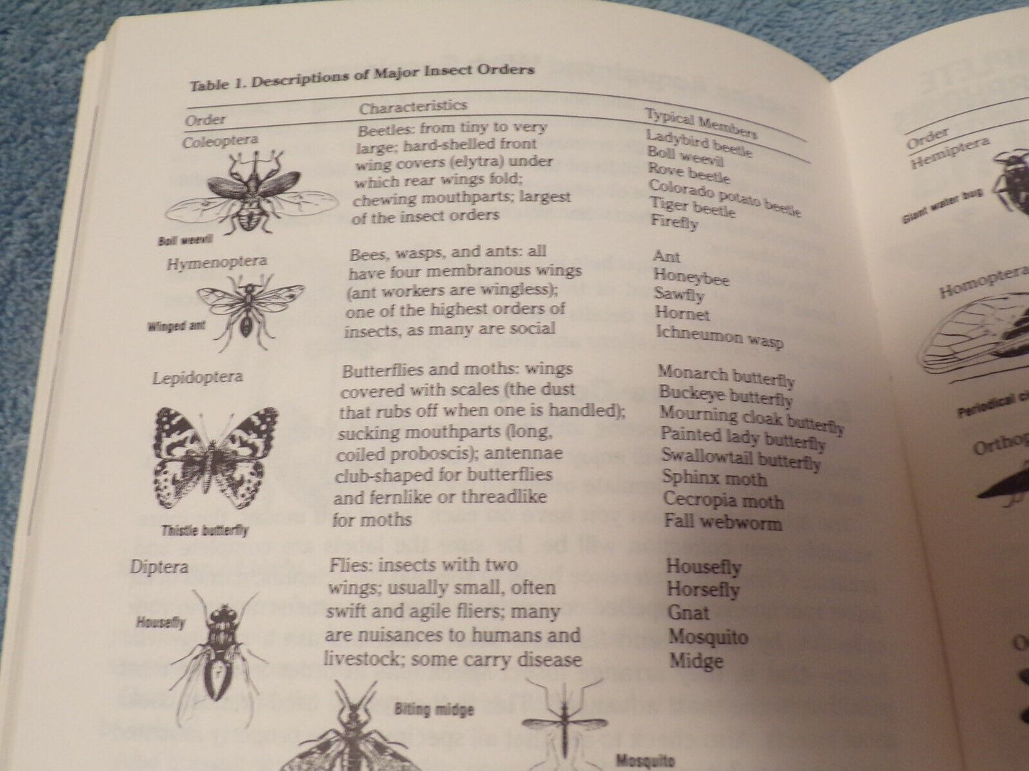 Insect Study: BSA Merit Badge Series Book 1987 Printing