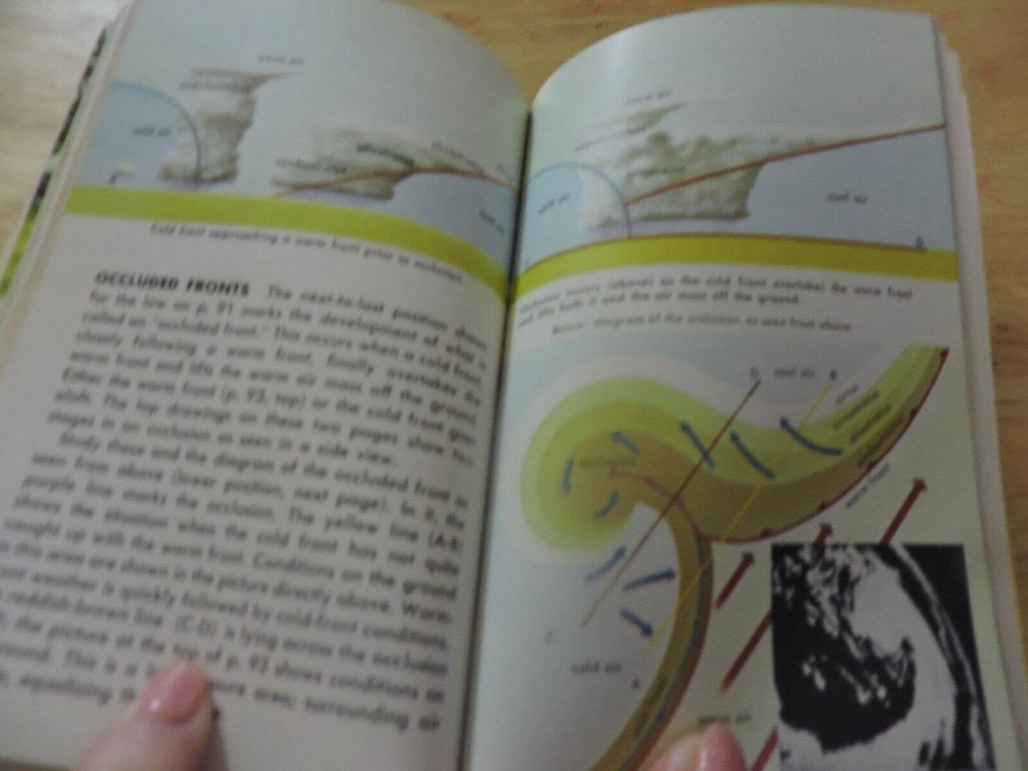 WEATHER: A GUIDE TO PHENOMENA AD FORECASTS 1965 A GOLDEN SCIENCE GUIDE