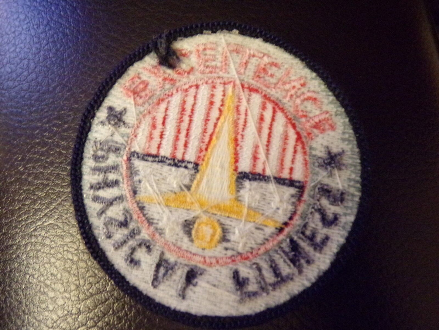 Physical Fitness Excellence Patch