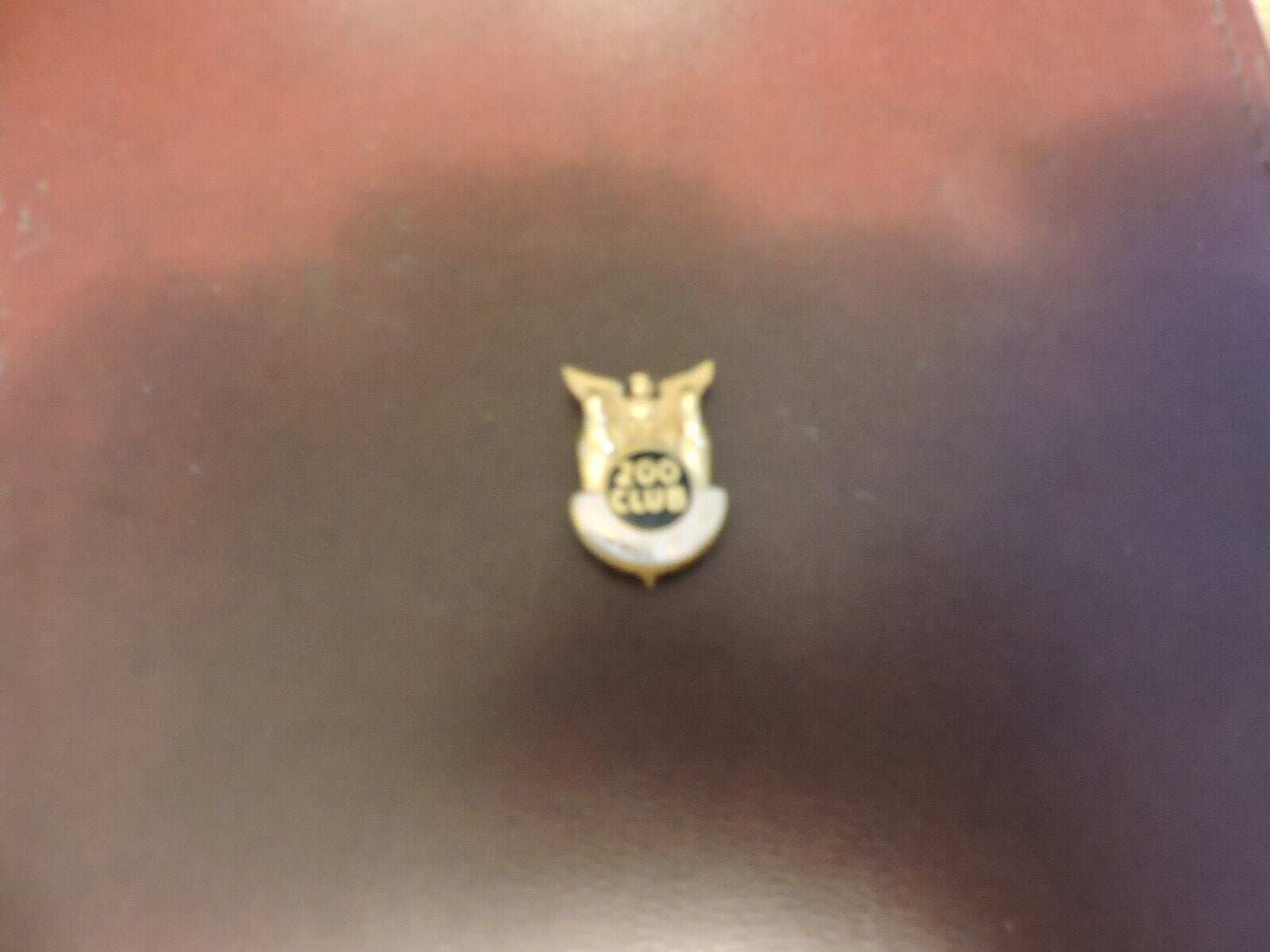 Shawnee Village 200 Club Lapel Pin