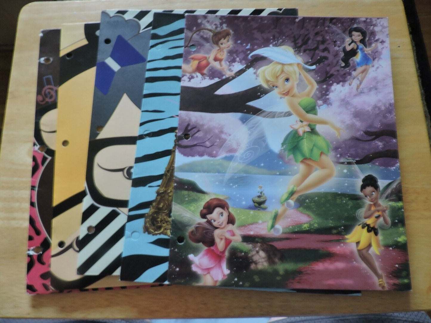 Set of 5 School Folders: Disney Fairies, Doggie Princess, Harajuku Mini
