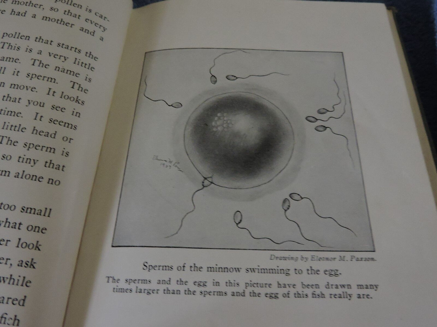 Growing Up by Karl De Schweinitz 1944 Printing (How we become alive)