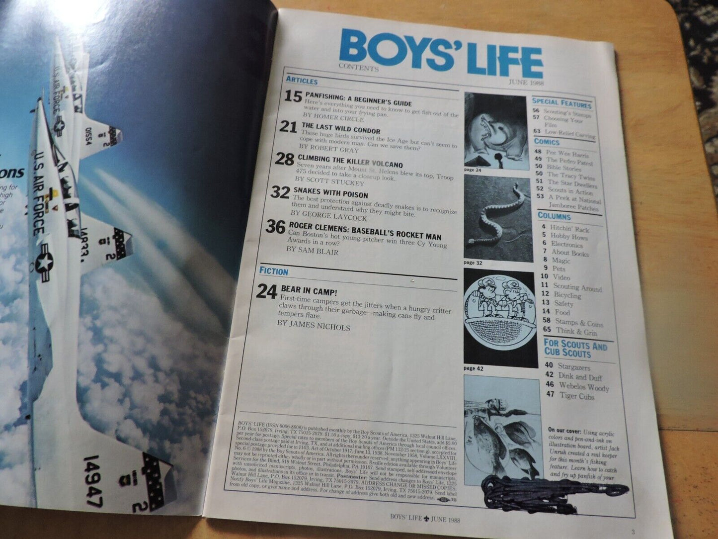 BOYS' LIFE MAGAZINE-JUNE 1988-PANFISHING:  A BEGINNER'S GUIDE