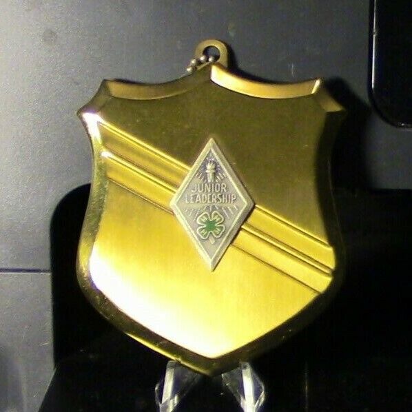 4 H Club: Junior Leadership Gold & Silver Metal Plaque