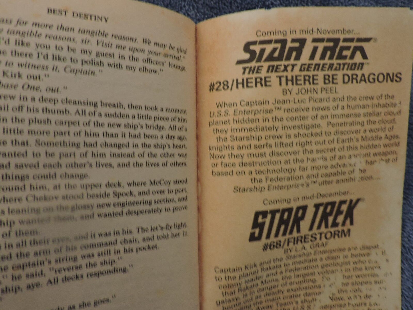 Star Trek: Best Destiny - A Novel by Diane Carey