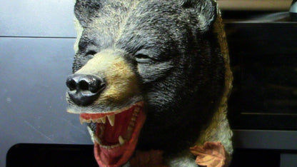 Lot of 4 Cub Scout "Bear" Books ( '54, '67, '84, '99) and Bear Wall Hanger
