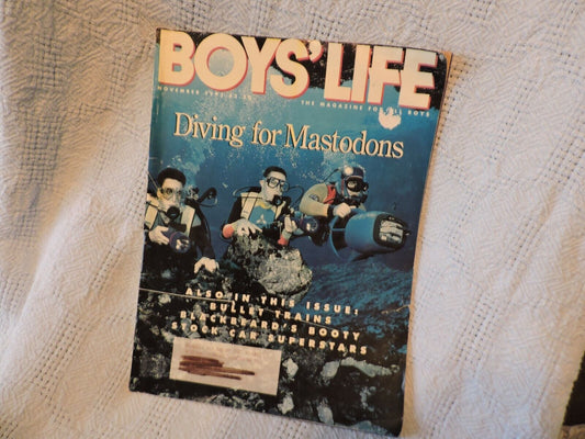 BSA: BOYS' LIFE Magazine, NOVEMBER 1993 Printing (Diving)