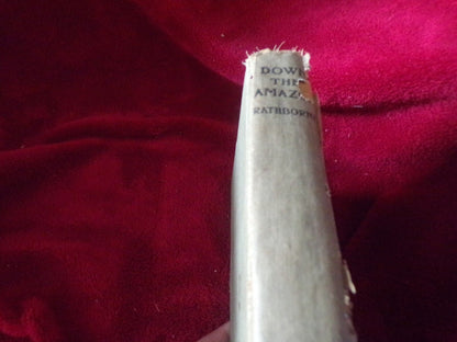 Vintage (1905) Book: Down the Amazon by St. George Rathborne