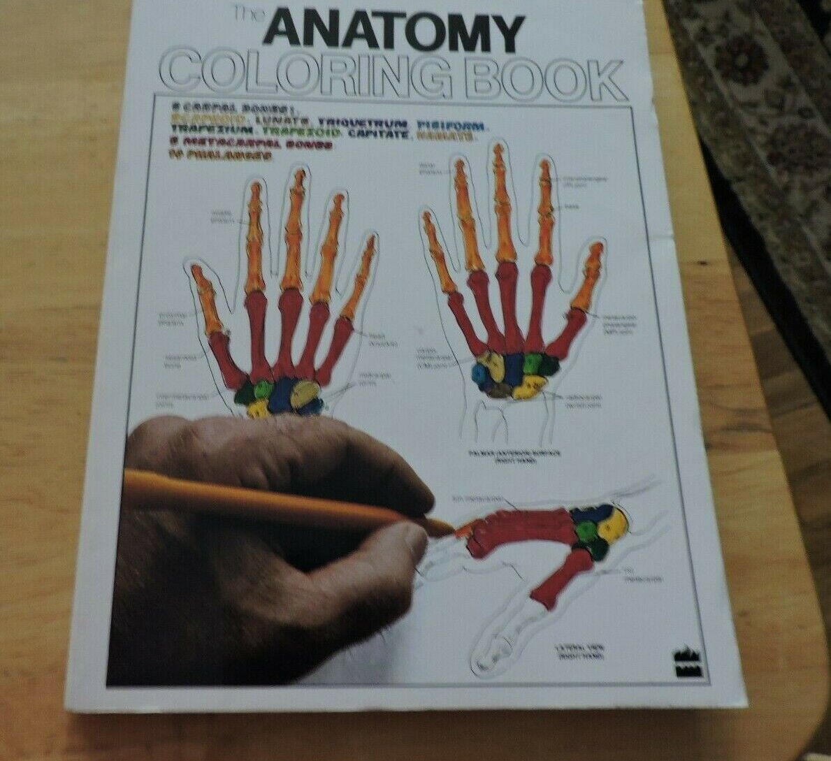 THE ANATOMY COLORING BOOK BY WYNN KAPIT/LAWRENCE M. ELSON 1977