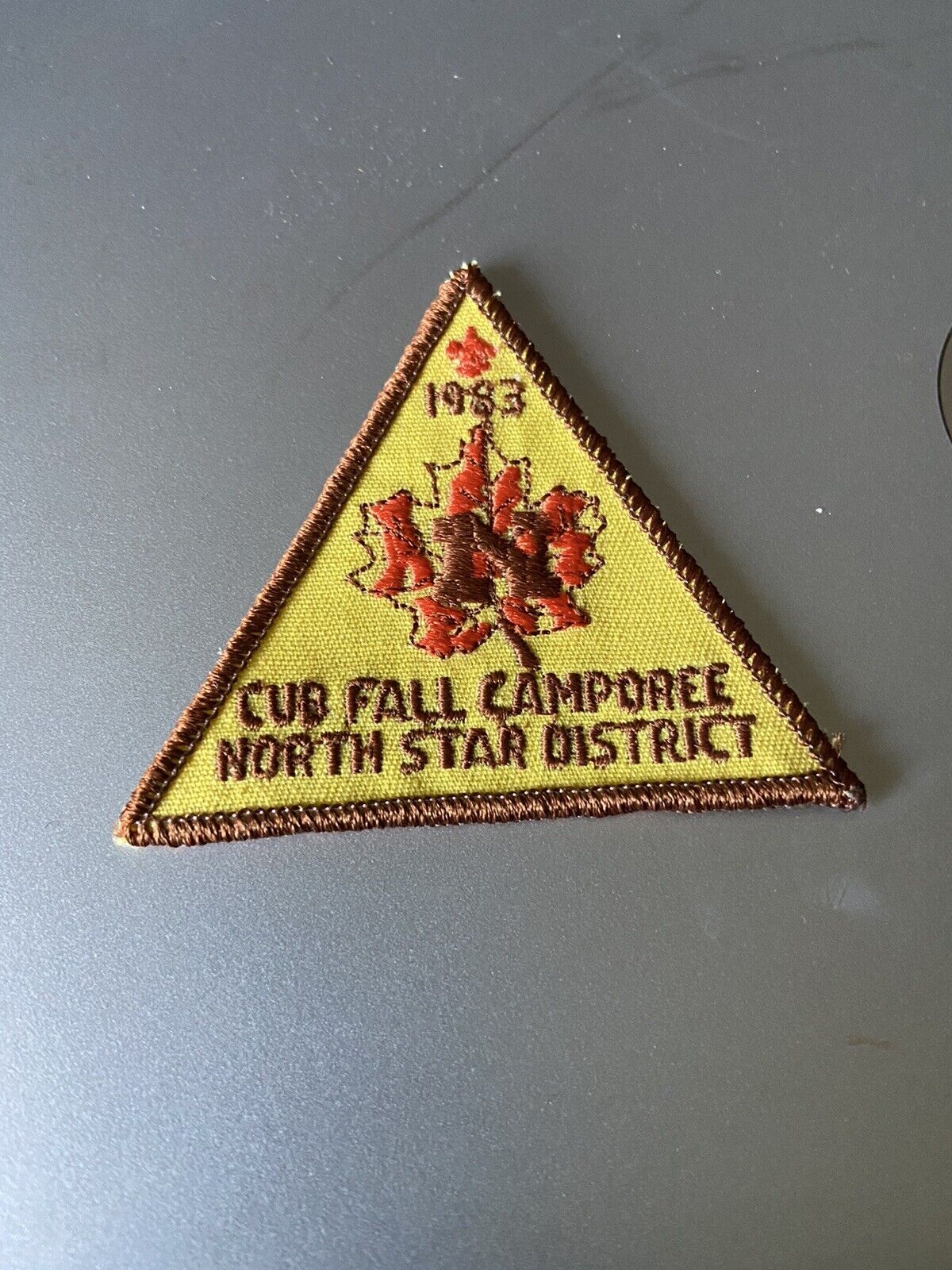 BSA, Cub Scout: Cub Fall Camporee North Star District-1983 Patch