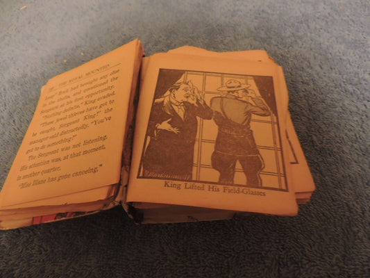 King of the Royal Mounted  Mini Book