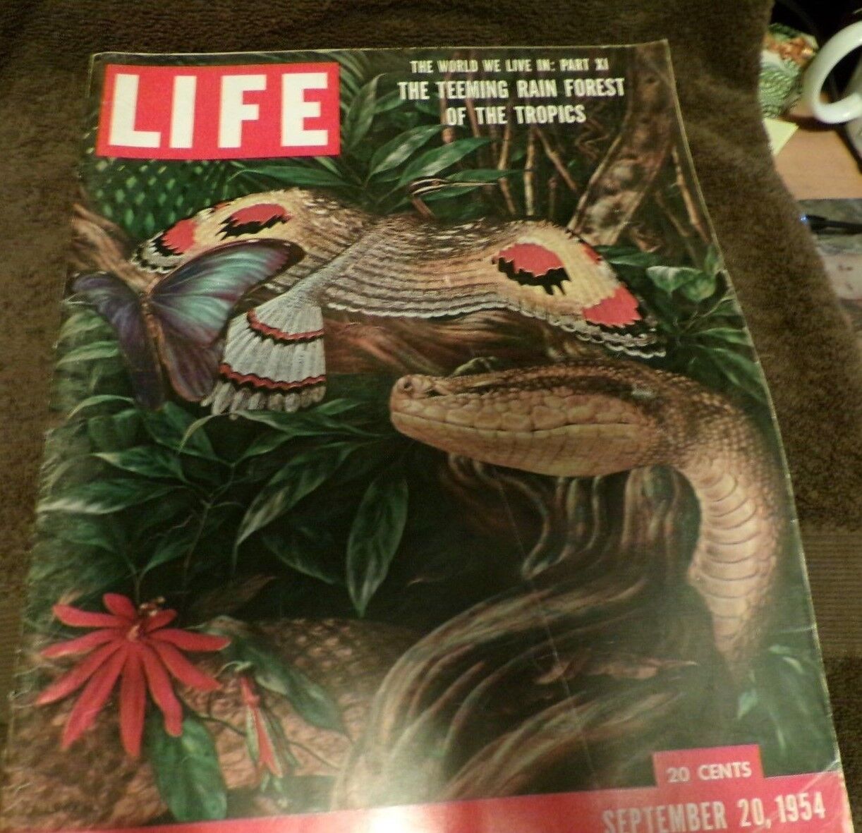 Life Magazine, September, 1954 Printing,  Features: The Rain Forest