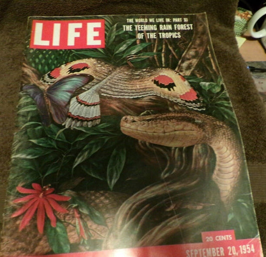 Life Magazine, September, 1954 Printing,  Features: The Rain Forest