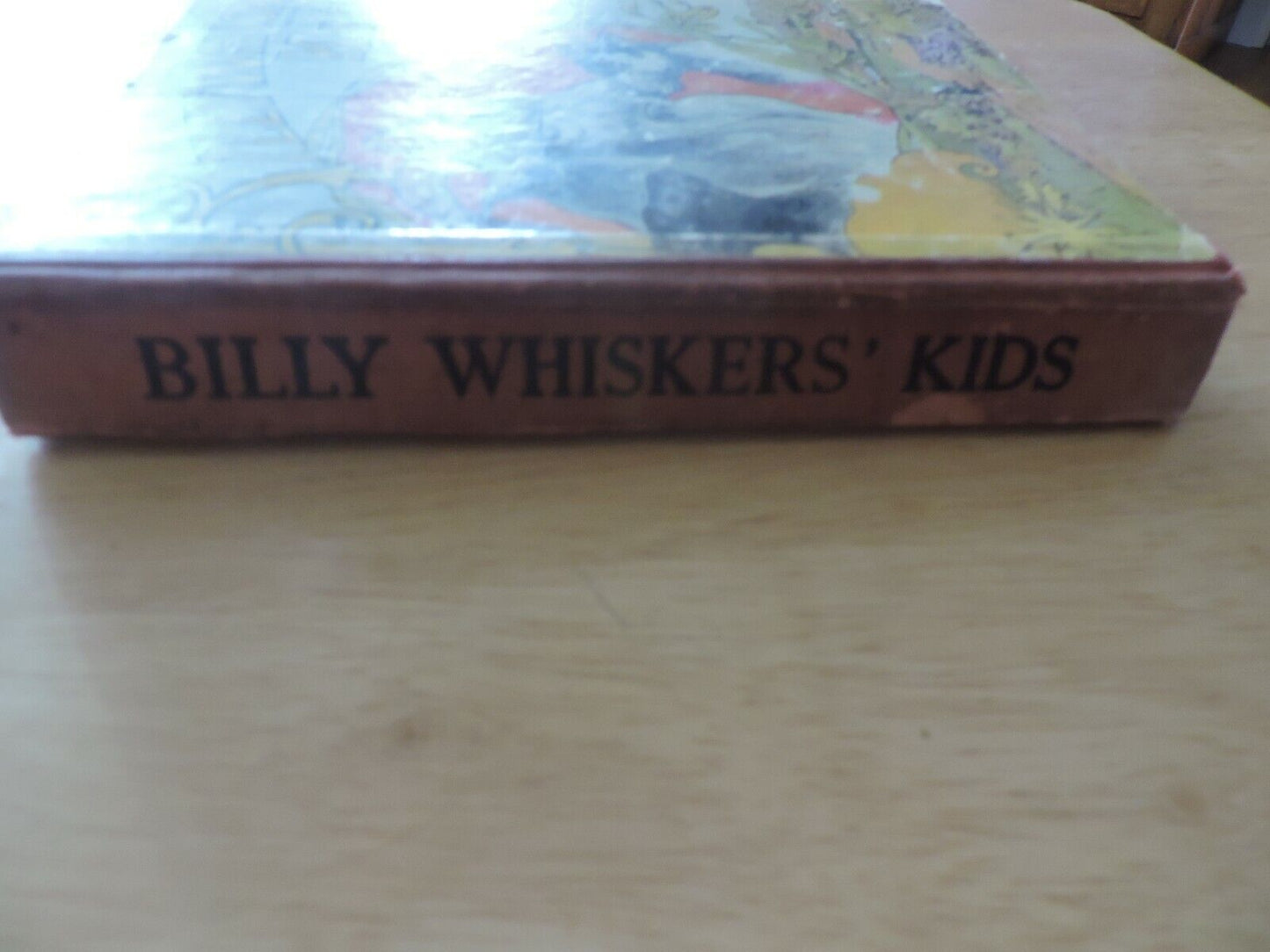BILLY WIHISKERS KIDS  BY FRANCES TREGO MONTGOMERY 1903