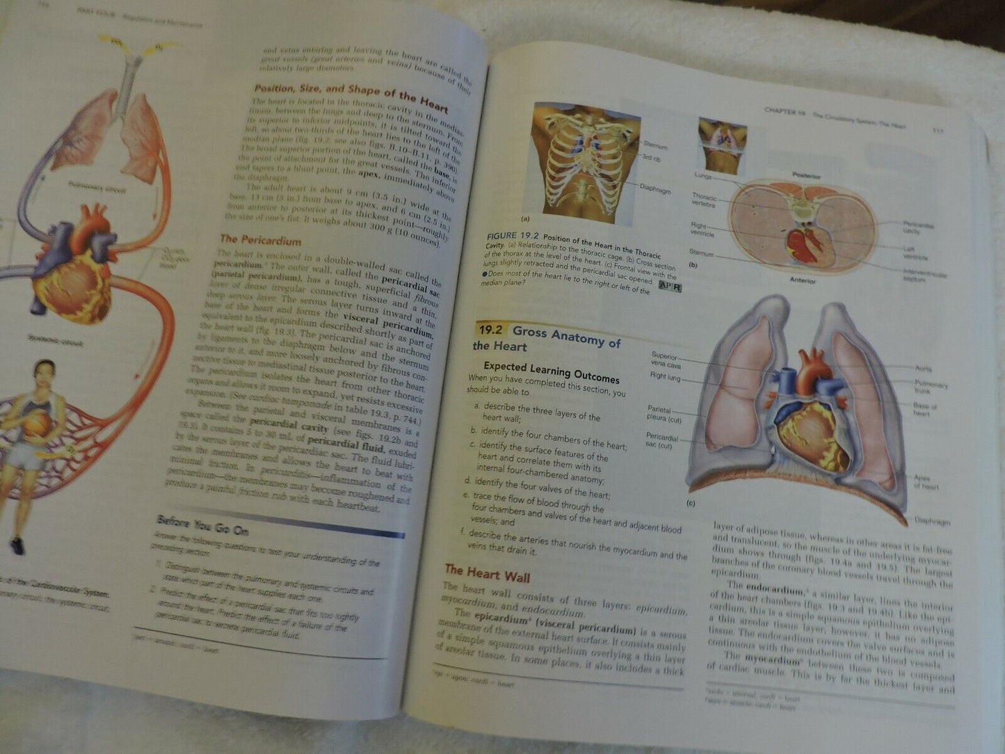 ANATOMY PHYSIOLOGY  THE UNITY OF FORM AND FUNCTION, SALADIN