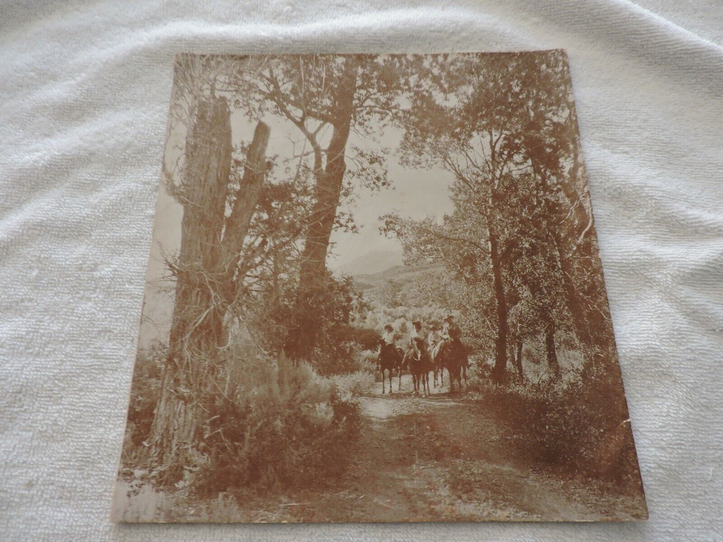 VINTAGE:  The Buffalo Bill Country Pamphlet
