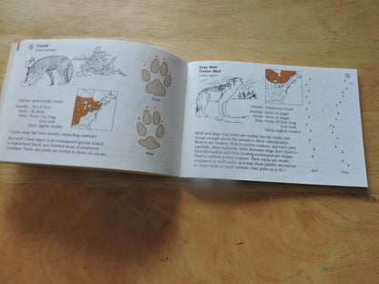 Track Finder : A Guide to Mammal Tracks of Eastern North America by Dorcas S....