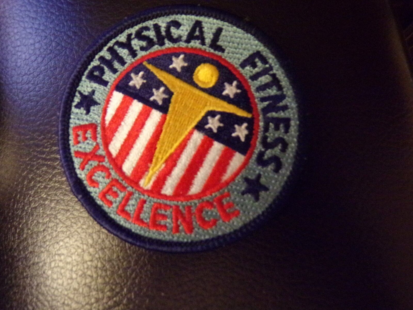 Physical Fitness Excellence Patch