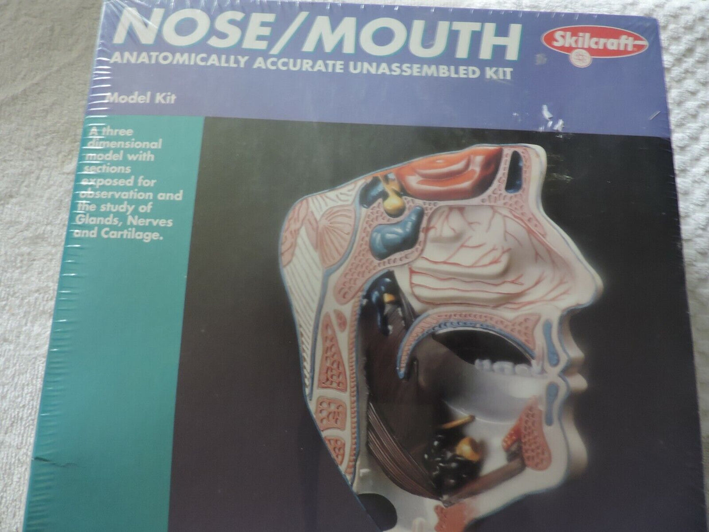 SKILCRAFT: NOSE/MOUTH ANATOMICALLY ACCURATE UNASSEMBLED  MODEL KIT-- NIB-- SKILL