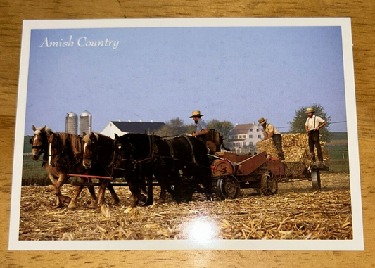 Postcard Unposted: Amish Country: Hay Wagon