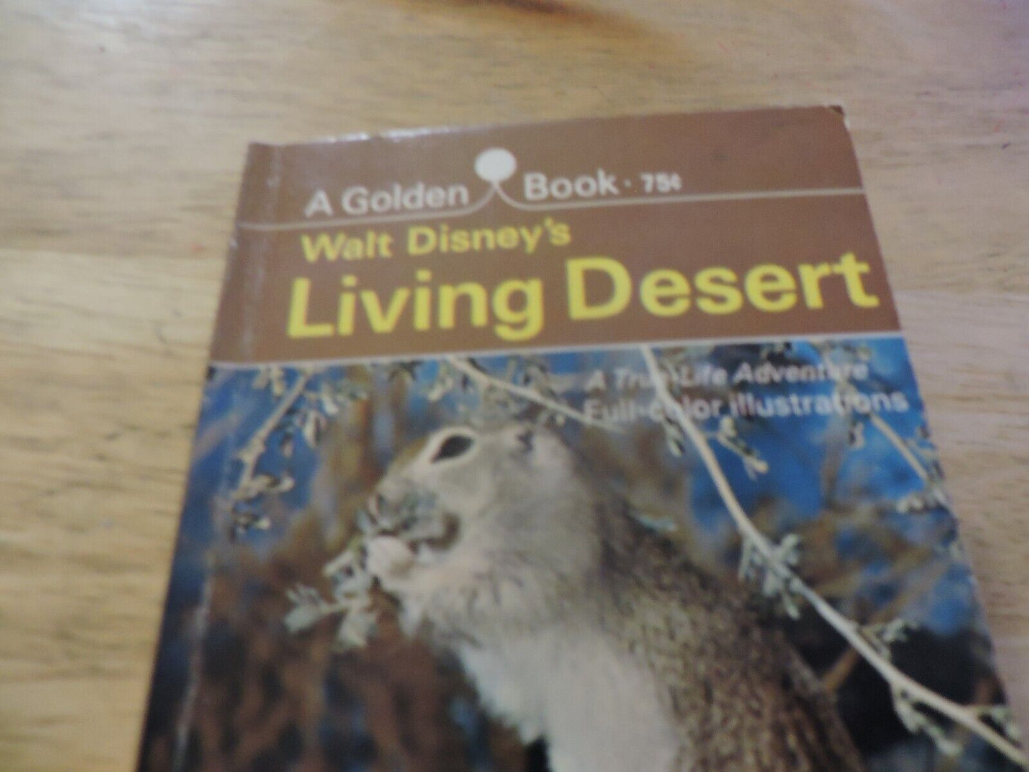 WALT S DISNEY: LIVING DESERT--A GOLDEN BOOK 1969