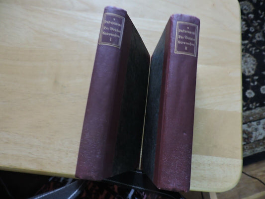 DIE BRUDER KARAMAFOW VOLUME 1 & 2 BY F. M. DOLTOJEWLFI