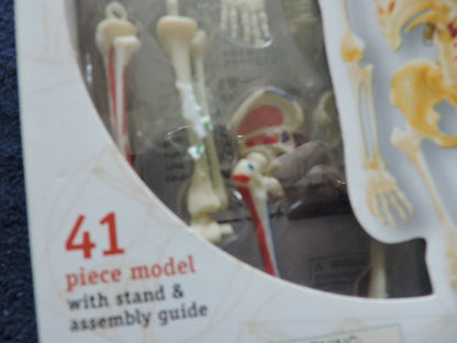 HUMAN ANATOMY MODEL 41 PIECE NIB--AGES 8+
