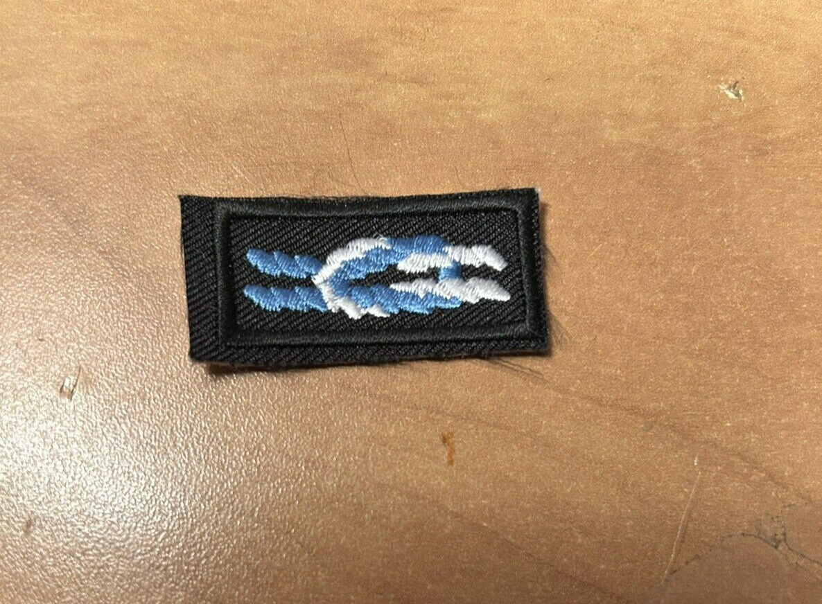 BSA SEA Scout Uniform Silver Beaver Knot