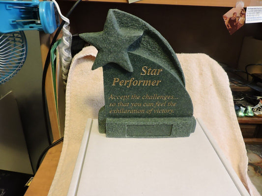 STAR PERFORMER TROPHY PLAQUE (ready for engraving plate to be added) New