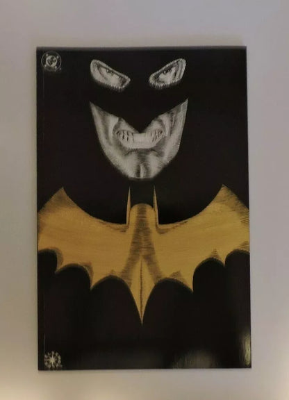 BATMAN Master of the Future Graphic Novel