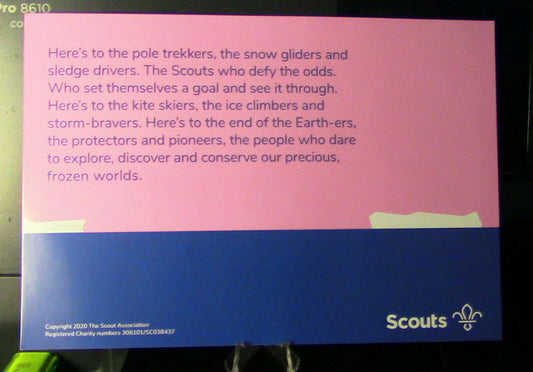Official World Scouting Patch Set: 