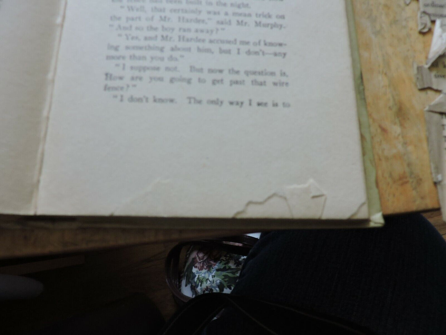 The Bobbsey Twins On a Houseboat Laura Lee Hope Hardback 1915