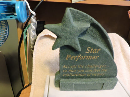 STAR PERFORMER TROPHY PLAQUE (ready for engraving plate to be added) New