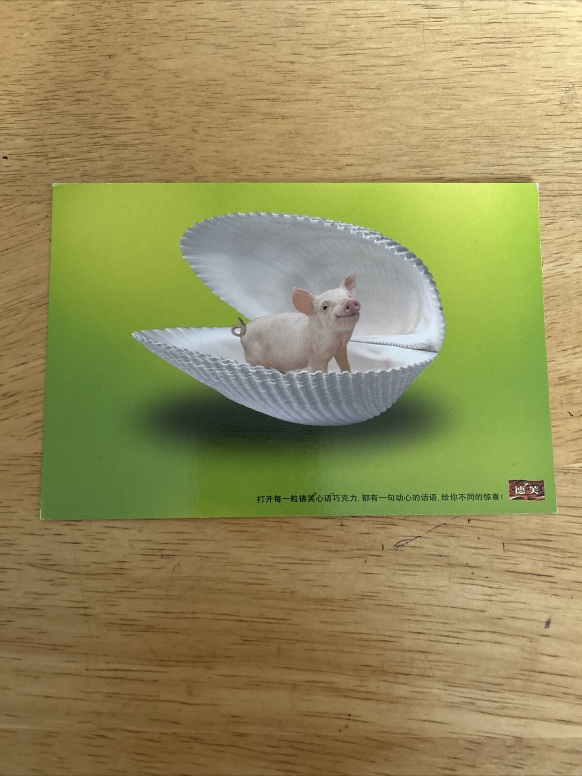 Chinese Dove Chocolate Advertisement Postcard