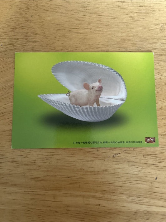 Chinese Dove Chocolate Advertisement Postcard