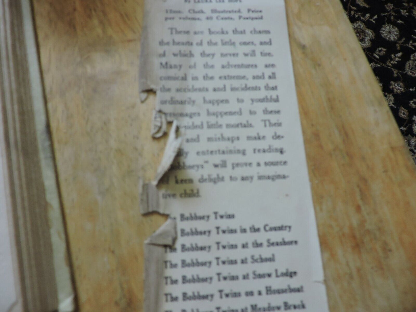The Bobbsey Twins On a Houseboat Laura Lee Hope Hardback 1915