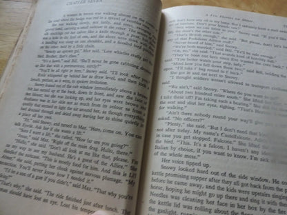 A Few Flowers For Shiner by Richard Llewellyn 1950 HC First Print MacMillan Co.