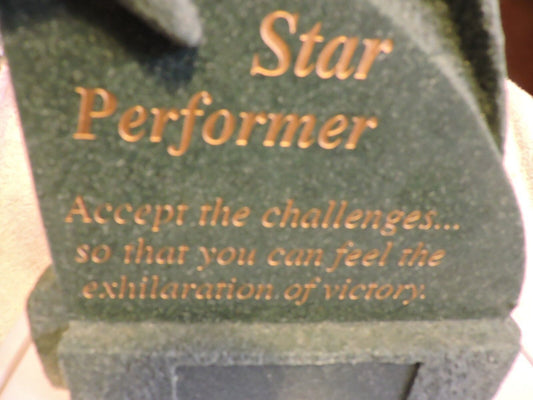STAR PERFORMER TROPHY PLAQUE (ready for engraving plate to be added) New
