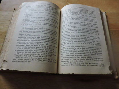 A Few Flowers For Shiner by Richard Llewellyn 1950 HC First Print MacMillan Co.
